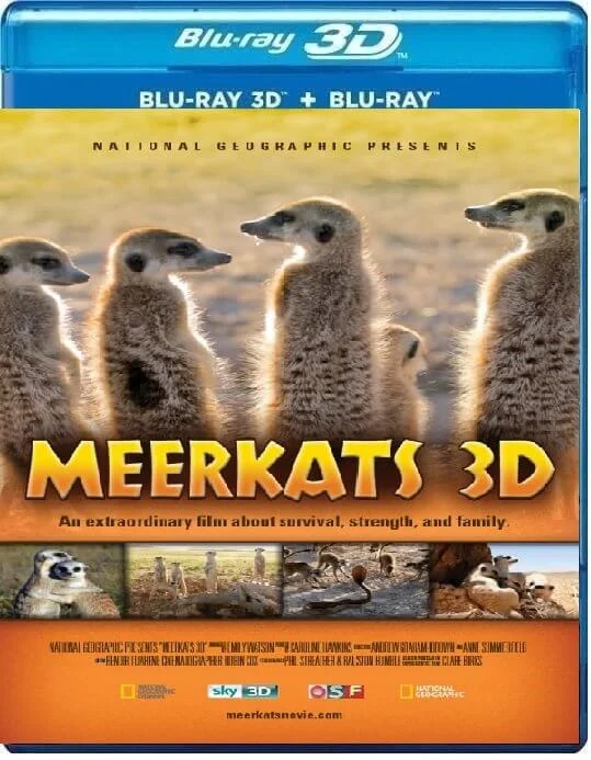 Meerkats 3D 2011