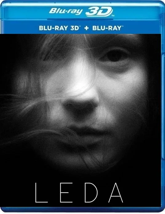 LEDA 3D 2021